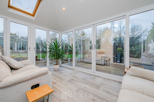 Paddock Rise Beechwood